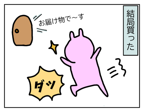 セール中だし思い切って購入！届くまでウキウキ