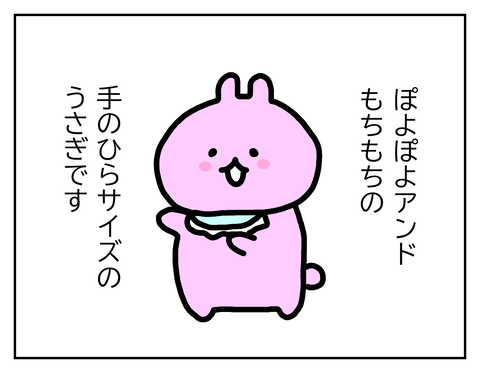 手のひらサイズのうさぎです