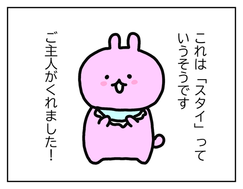 スタイを見せるうさちゃん