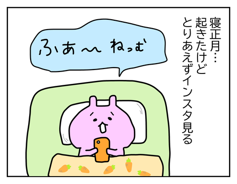 正月は暇なのでダラダラする
