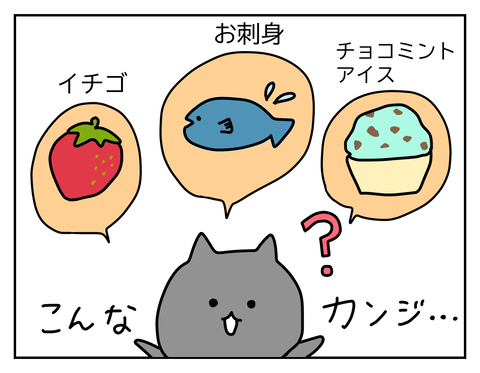 くろねこさんの好きな食べ物はイチゴ、お刺身、チョコミントアイス