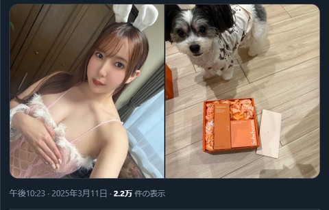 httpsx (2)