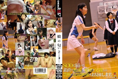 1sdmt00506pl