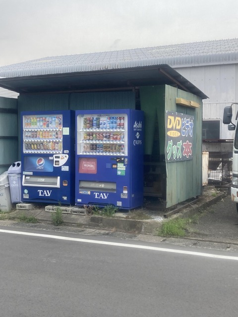ワイアダルト自販機を発見してしまう