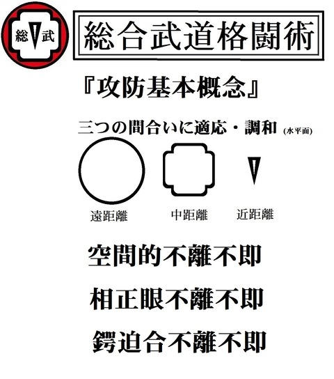 三つの間合いに適応・調和 - コピー