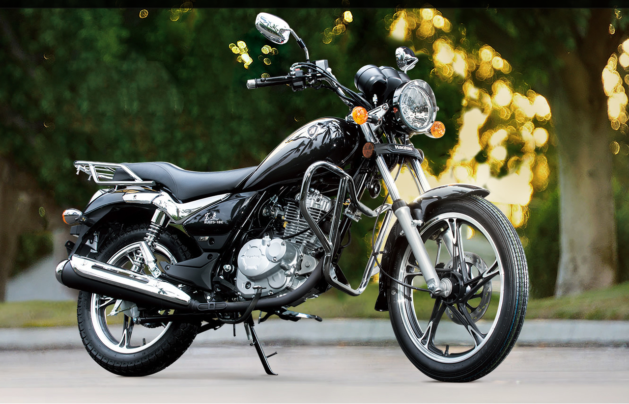 【決定しました】SUZUKI GN125H 実際に売ってるGN125-3Fって : 双極性障害なバイクブログ GN125H XL883