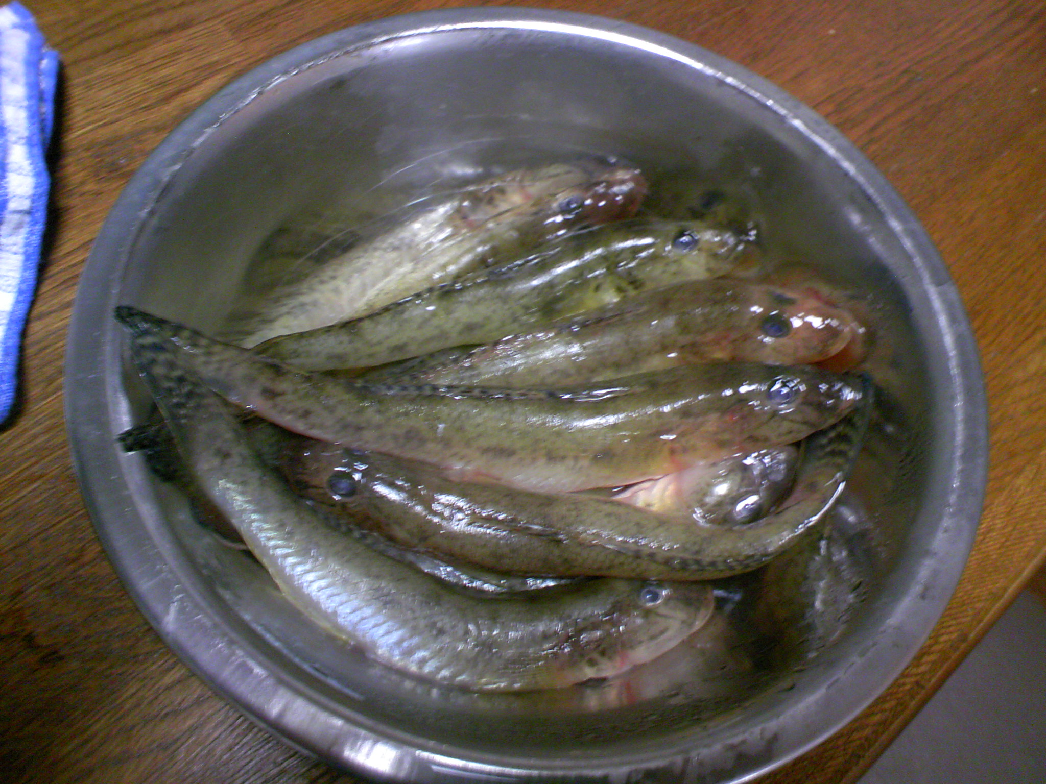 焼きハゼ作り 東北磯遊人