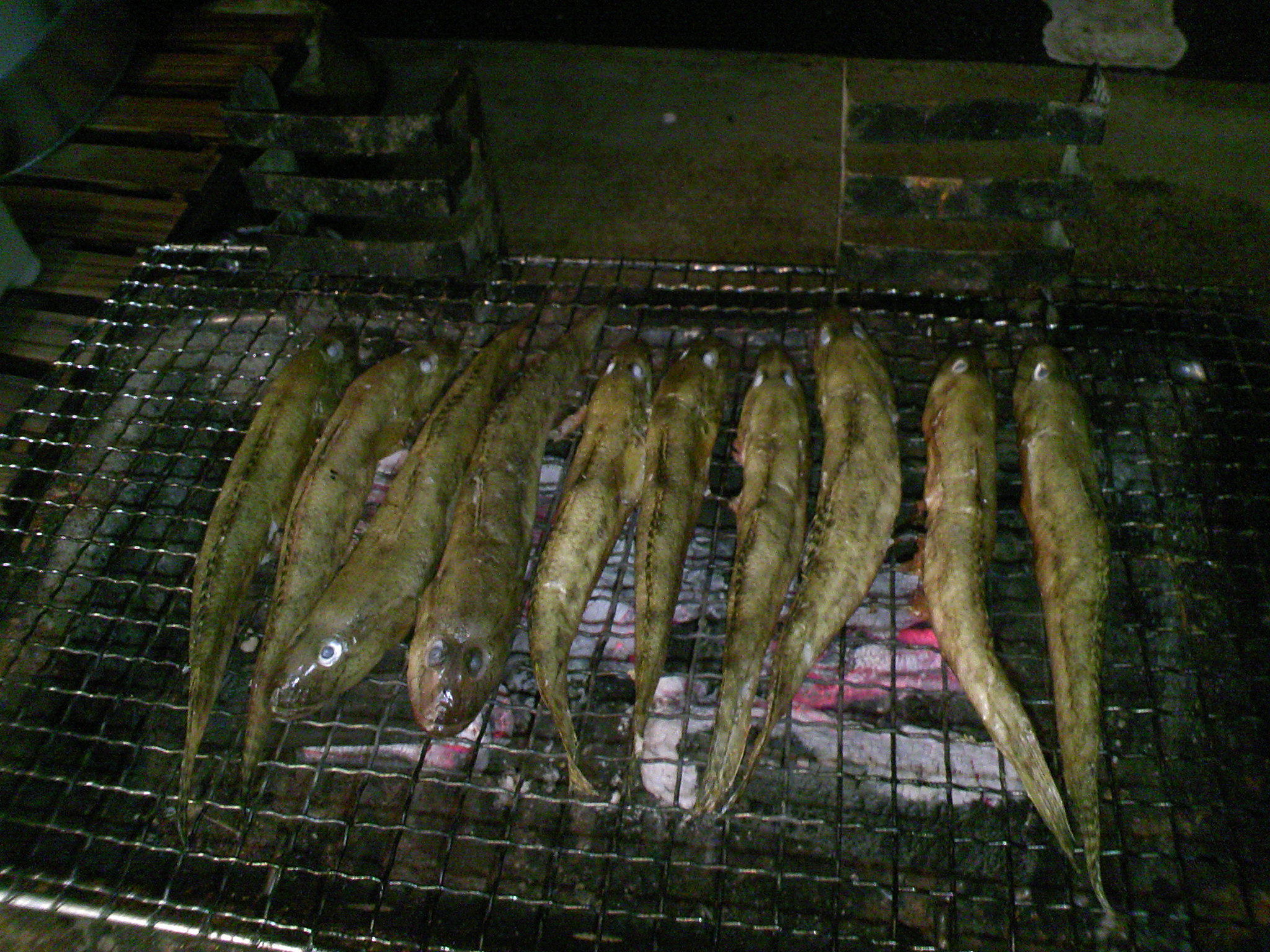 焼きハゼ作り 東北磯遊人