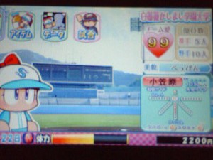 白薔薇かしまし