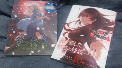 (̡��) ���������ߥ���ͥ��� ��10�� (��)