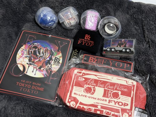 B¡Çz LIVE-GYM 2025 FYOP ¥°¥Ã¥º