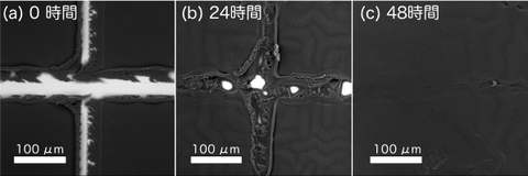 fig2