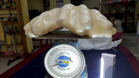 swns_giant_pearl_01