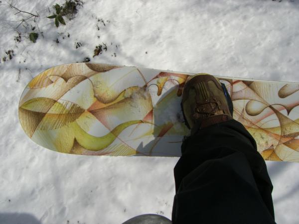 replant Extender 156 : SoulRider 