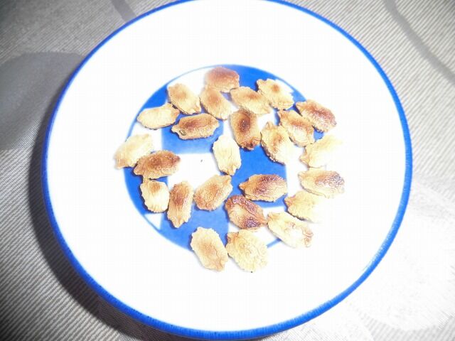 ゴーヤの種のおつまみ 下葉の黄変問題 ツインソウルからの体感 気づき