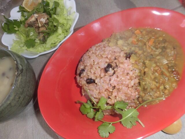 去年のこぼれ種から自然発芽したパクチーでパクチーカレー ツインソウルからの体感 気づき