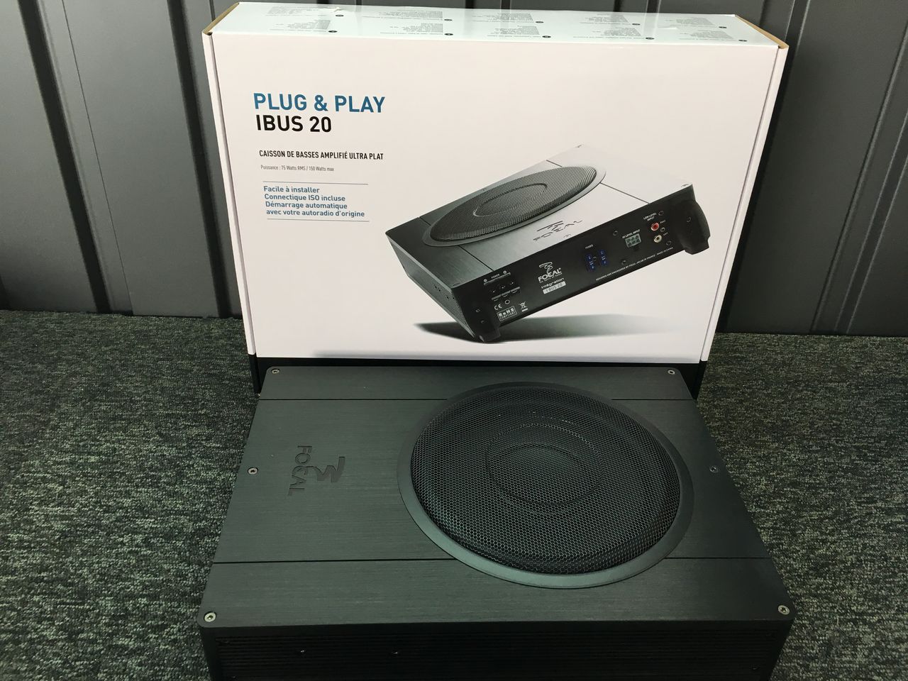 FOCAL IBUS 20 ウーファー 【公式通販】