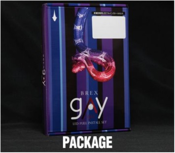 gay 3