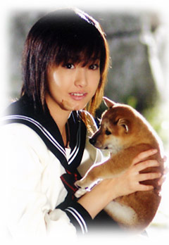 1リットルの涙 観ました てっちり日記 1リットルの涙 観ました てっちり日記