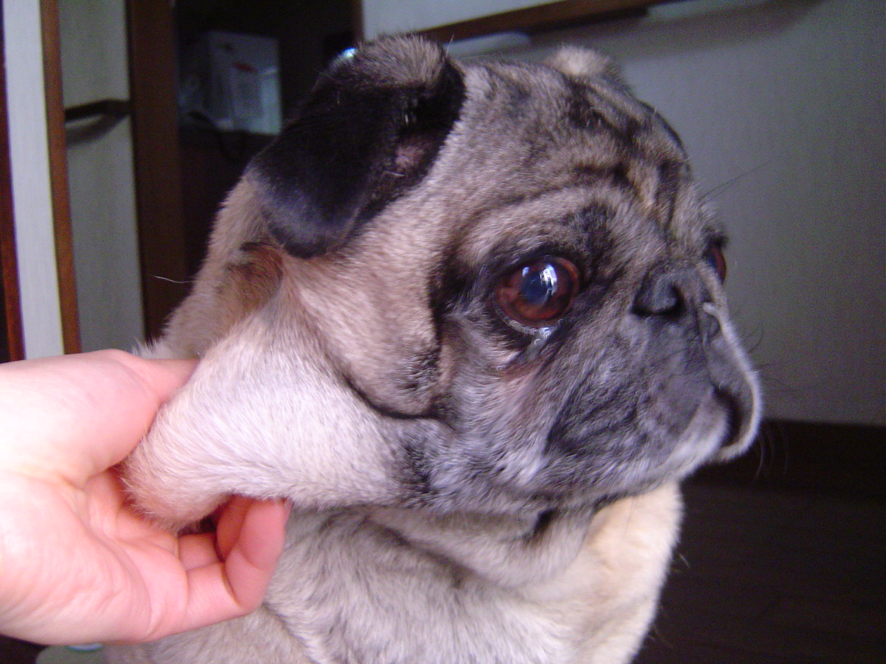 ボブ Sound Of A Handshake
