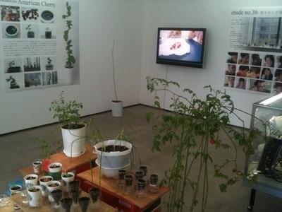 TWS_garden