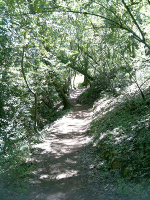 Montalvo_hkt