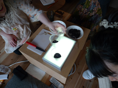 ift_no36_planting
