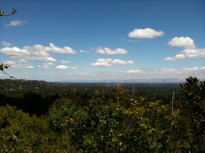 Montalvo_MDP