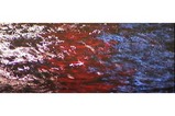 FireSquid_sea