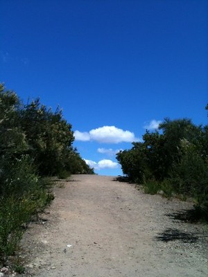 montalvo_toLKP