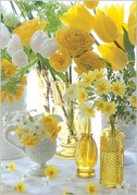 event yellow-tulips-color-yellow