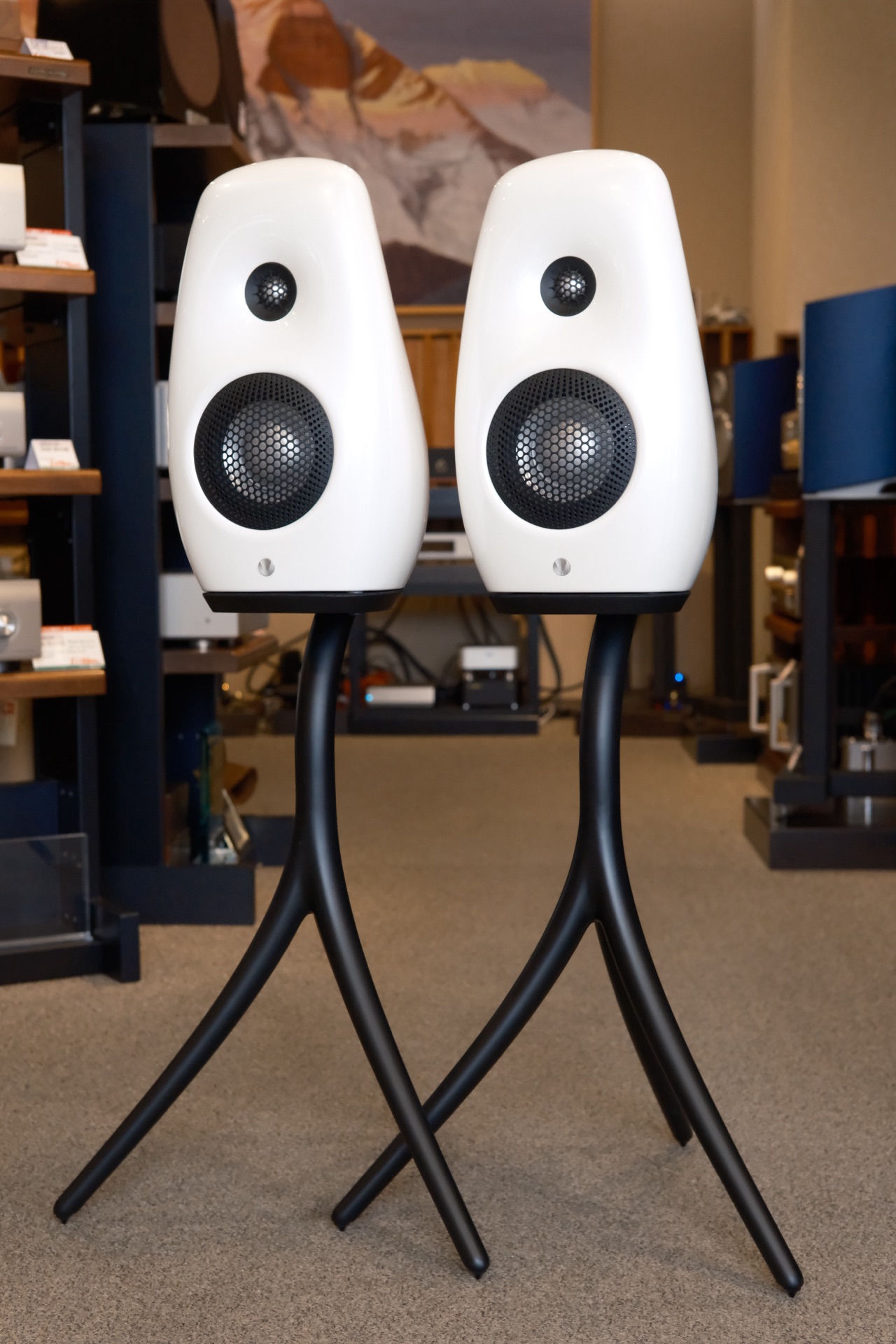 販売済み【USED】VIVID Audio KAYA S12+STAND : SOUNDHUNTERのUSED&