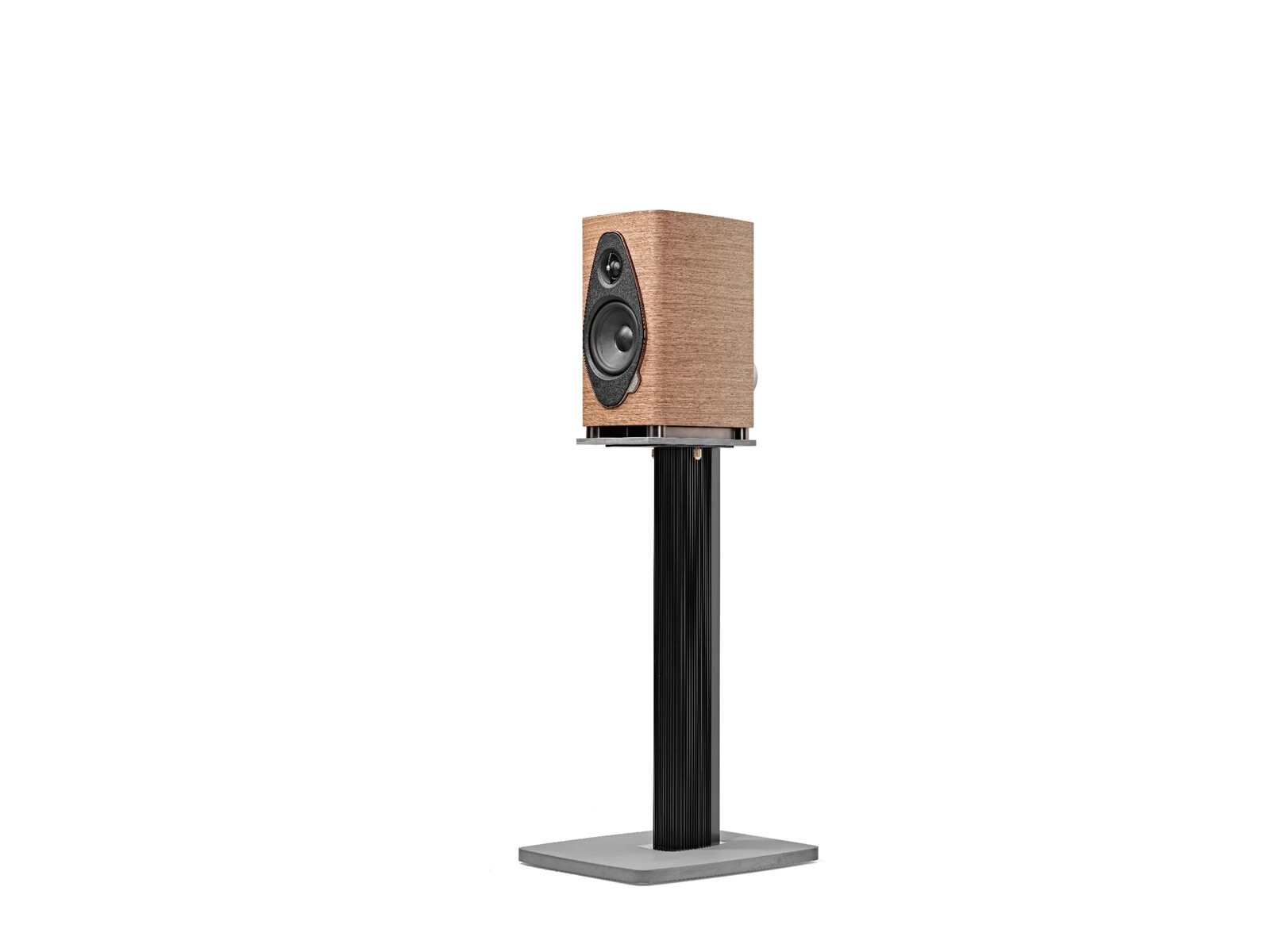 sone1g2_kv_2-scaled