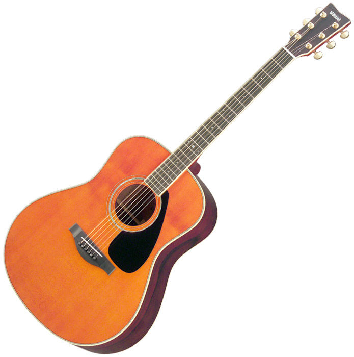 ギターってアコギかエレキどっちがいいの 音マニア速報