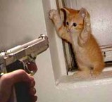 I didn't do it!