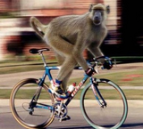 cycling