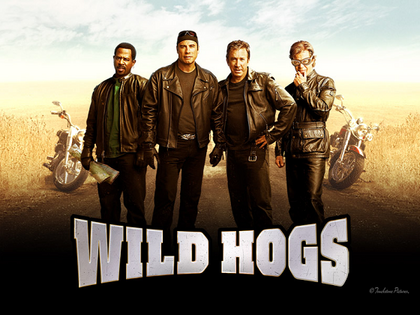 WILD HOGS