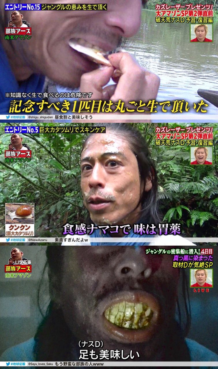 Tv イッテq を超えた ナスd が爆発的に支持される理由 そーすは2ちゃん
