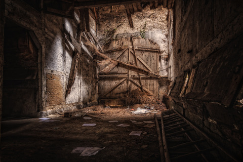 peter-herrmann-7_T0trRZWLE-unsplash