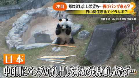 スクリーンショット 2026-01-20 034026