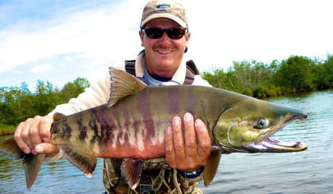chum-salmon-blog-headline
