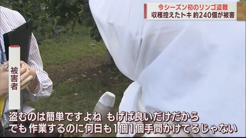 タイトルなしm