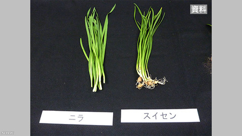 K10012191051_1911252332_1911252335_01_02