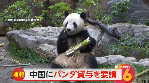 スクリーンショット 2025-04-30 040730