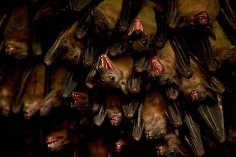 sidebar_main_image