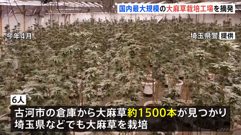 タイトルなし