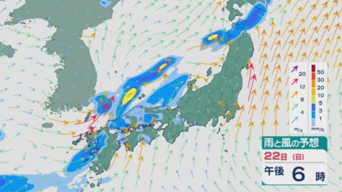 スクリーンショット 2025-06-21 155029