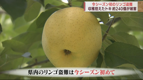 タイトnルなし