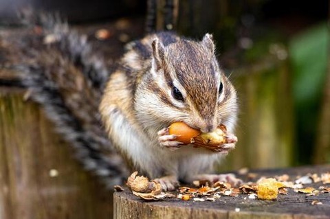 b479fe7c79cabd1e7d3499bf69c43015_t