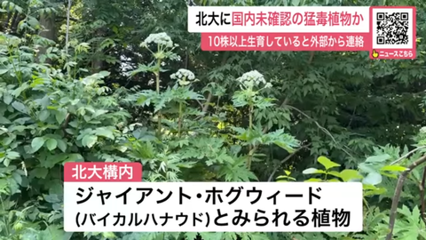 スクリーンショット 2025-06-25 174711